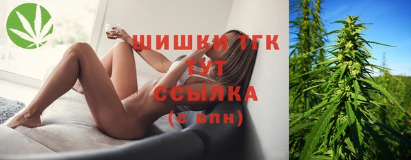 spice Алзамай