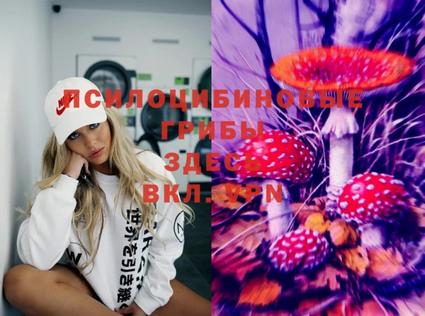 spice Алзамай