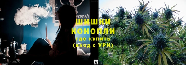 spice Алзамай
