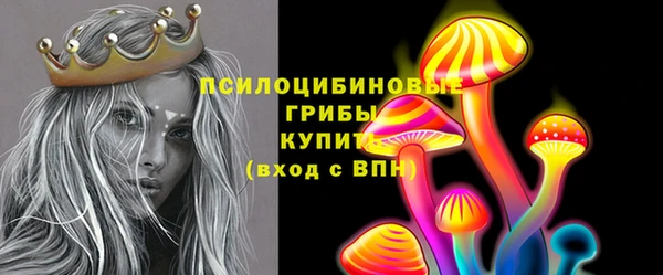 хмурый Алексеевка