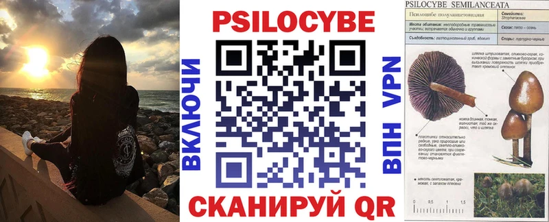 Псилоцибиновые грибы GOLDEN TEACHER  kraken   Болгар 