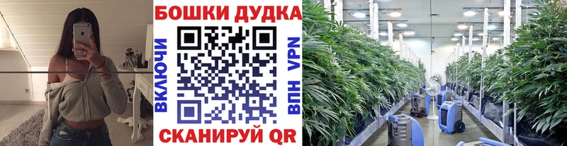 МАРИХУАНА SATIVA & INDICA Болгар